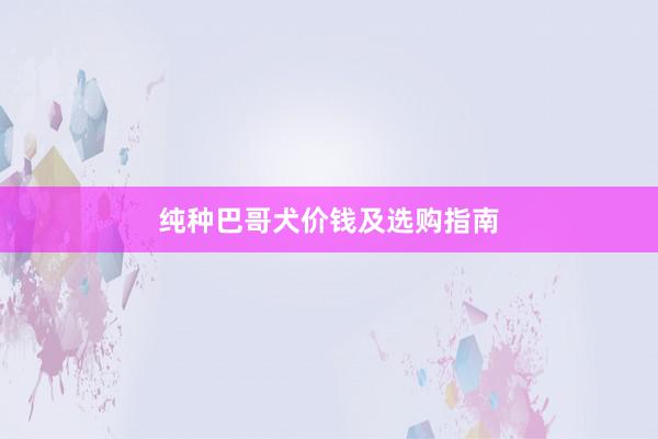 纯种巴哥犬价钱及选购指南